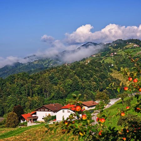 Farm Stay Pirc Laško Kültér fotó