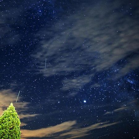 Farm Stay Pirc Laško Kültér fotó