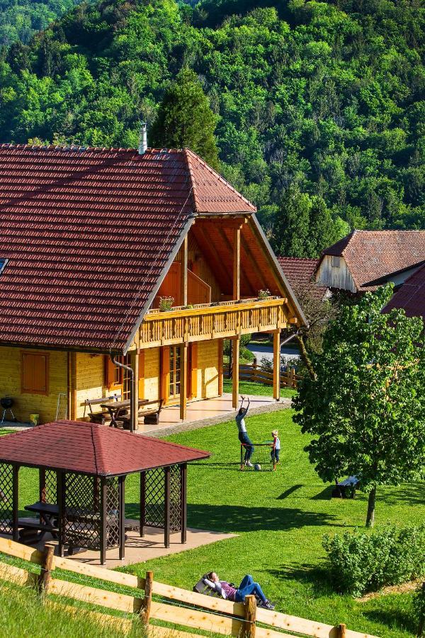 Farm Stay Pirc Laško Kültér fotó