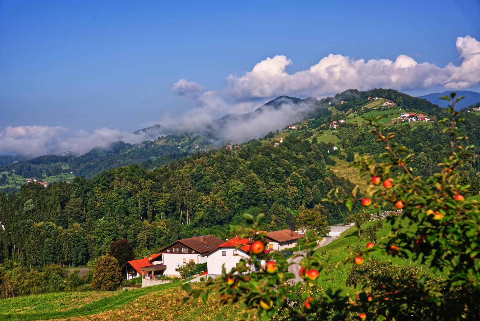 Farm Stay Pirc Laško Kültér fotó