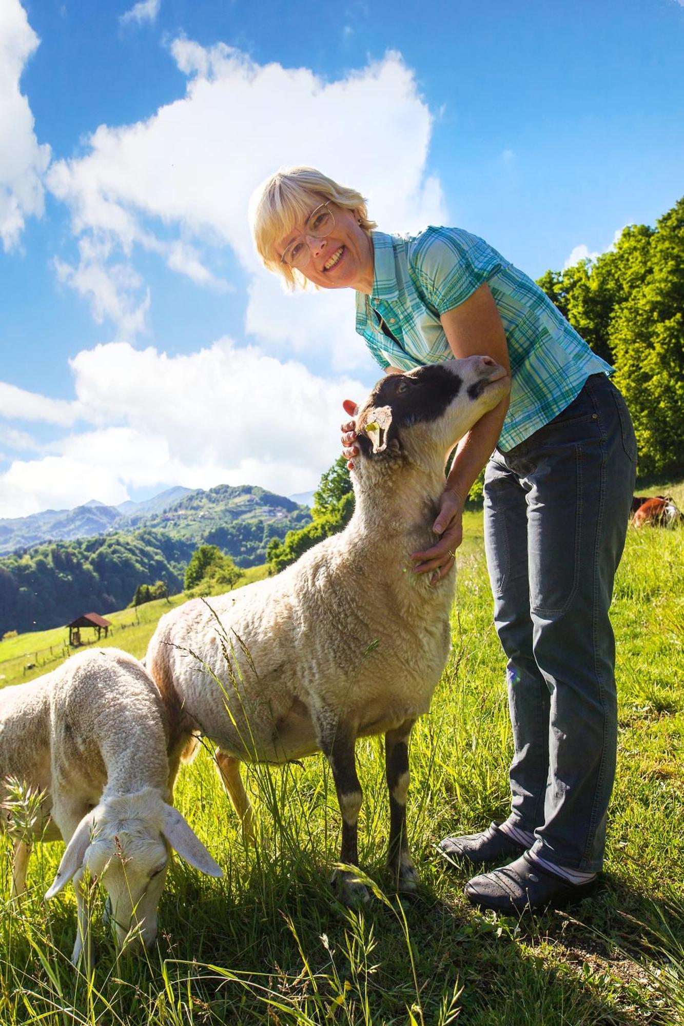 Farm Stay Pirc Laško Kültér fotó