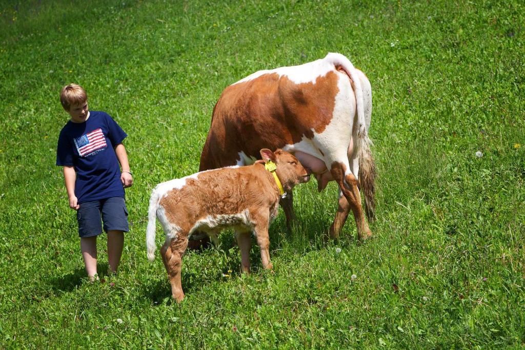 Farm Stay Pirc Laško Kültér fotó