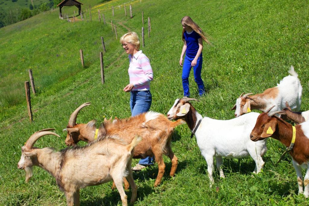 Farm Stay Pirc Laško Kültér fotó