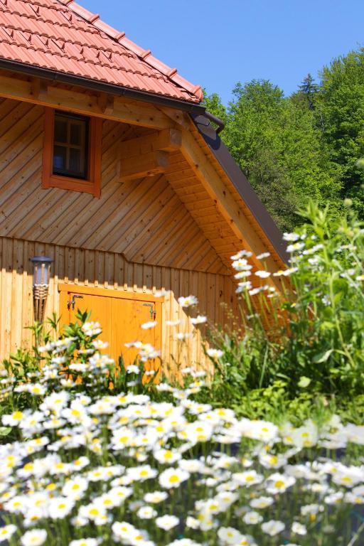 Farm Stay Pirc Laško Kültér fotó